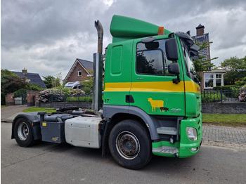 Cabeza tractora DAF CF 440 Welgro Blower: foto 3